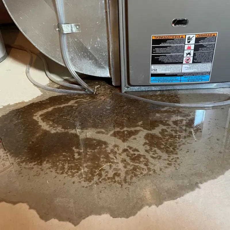 Pipe Burst and Leak Restoration in Farragut, TN